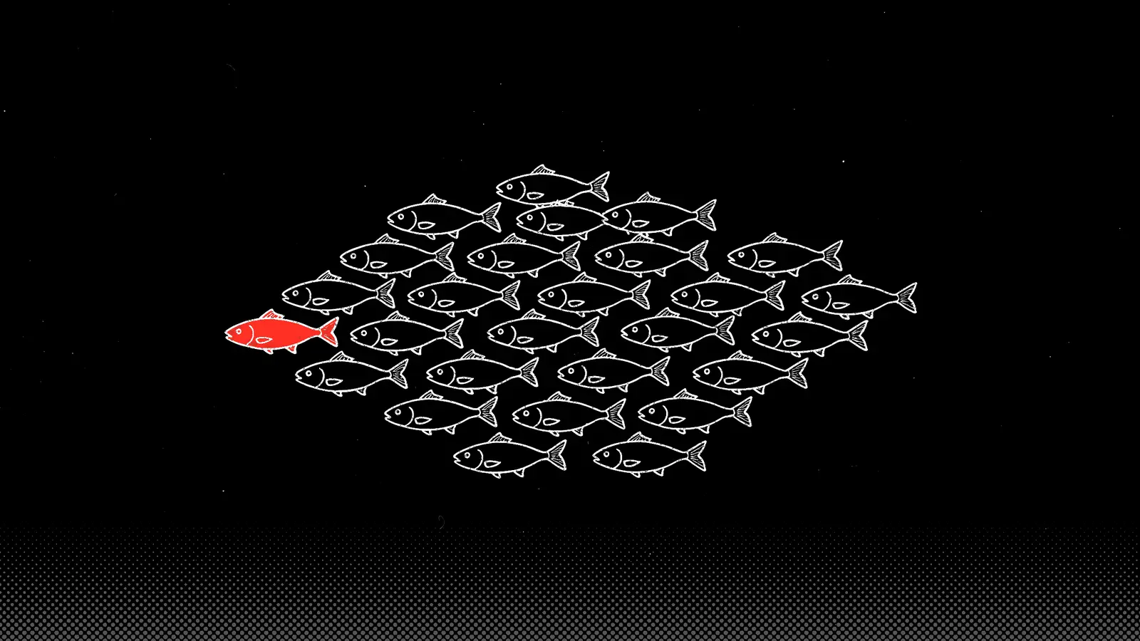 A shoal of white outline fish swimming left, with one red fish leading.